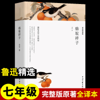 老舍精选集 骆驼祥子 老舍 著 文学 文轩网