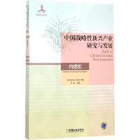 中国战略性新兴产业研究与发展 邢敏 主编;中国内燃机工业协会 组编 著 生活 文轩网