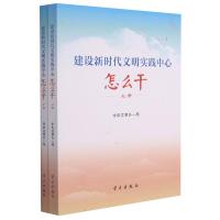 建设新时代文明实践中心怎么干(上下) 中央文明办一局 著 社科 文轩网