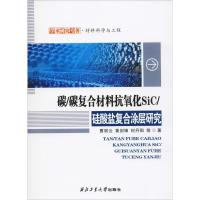 碳/碳复合材料抗氧化SiC/硅酸盐复合涂层研究 曹丽云 等 著 专业科技 文轩网