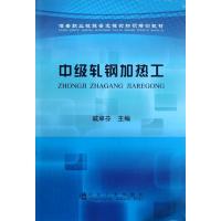 中级轧钢加热工 戚翠芬 编 著作 专业科技 文轩网