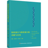 胶原蛋白与胶原蛋白肽功能与应用 洪惠,谭雨青,罗永康 编 生活 文轩网