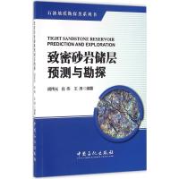 致密砂岩储层预测与勘探 胡伟光,肖伟,王涛 编著 著 专业科技 文轩网