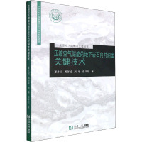 压缩空气储能的地下岩石内衬洞室关键技术 夏才初 等 著 专业科技 文轩网