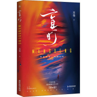 盲灯 苏他 著 文学 文轩网