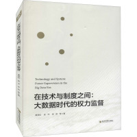 在技术与制度之间:大数据时代的权力监督 黄其松 等 著 专业科技 文轩网