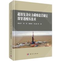 超深复杂应力碳酸盐岩储层深穿透酸压技术 蒋廷学//周珺//魏娟明//贾文峰 著 专业科技 文轩网