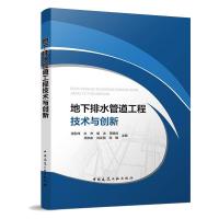 地下排水管道工程技术与创新 张彤,炜文杰,胡冰 等 著 专业科技 文轩网