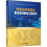 特高压多端混合柔性直流输电工程技术 赵建宁 陈兵 著 专业科技 文轩网