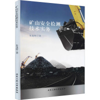 矿山安全检测技术实务 朱龙辉 著 专业科技 文轩网