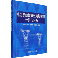 电力系统暂态过电压数值计算与分析 李谦 等 编 专业科技 文轩网