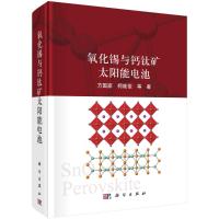 氧化锡与钙钛矿太阳能电池 方国家//柯维俊 著 专业科技 文轩网