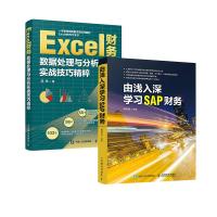 套装2册 Excel财务数据处理与分析实战技巧精粹+由浅入深学习SAP财务 郭辉 著等 专业科技 文轩网