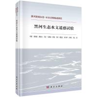 黑河生态水文遥感试验 李新//刘绍民//柳钦火//肖青//马明国等 著 专业科技 文轩网