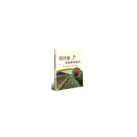 西洋参农田栽培技术 张亚玉 等 著 专业科技 文轩网
