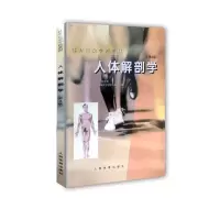 人体解剖学 体育运动学校《人体解剖学》教材编写组 编 大中专 文轩网
