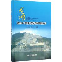 龙滩进水口高边坡治理关键技术 赵红敏,夏宏良 编著 著作 专业科技 文轩网