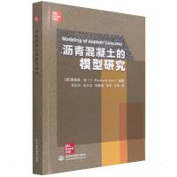 沥青混凝土的模型研究 汪正兴 王少江 马临涛 马宇 计涛 著 汪正兴//王少江//马临涛//马宇//计涛 译 专业科技 