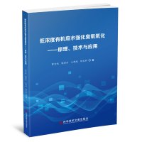 低浓度有机废水强化臭氧氧化——原理、技术与应用 曹宏斌谢勇冰王郁现杨忆新 著 专业科技 文轩网