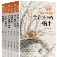预售杨红樱画本·科学童话系列:新版 杨红樱 著 少儿 文轩网