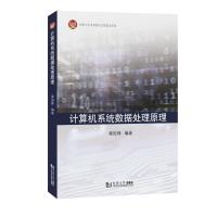 计算机系统数据处理原理 秦国锋 著 专业科技 文轩网