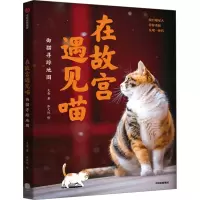 在故宫遇见喵 御猫寻踪地图 克查 著 张文悦 绘 艺术 文轩网