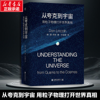 从夸克到宇宙 用粒子物理打开世界真相 (美)唐·林肯 著 孙佳雯 译 专业科技 文轩网