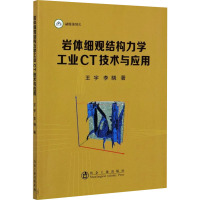 岩体细观结构力学工业CT技术与应用 王宇,李晓 著 专业科技 文轩网