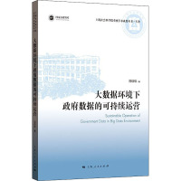 大数据环境下政府数据的可持续运营 范佳佳 著 经管、励志 文轩网