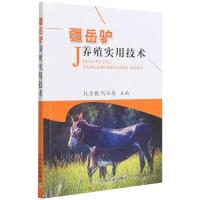 疆岳驴养殖实用技术 托乎提·阿及德 著 专业科技 文轩网