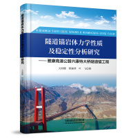 隧道锚岩体力学性质及稳定性分析研究 文丽娜//程谦恭//叶飞 著 大中专 文轩网