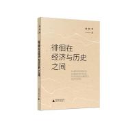 徘徊在经济与历史之间 俞炜华 著 经管、励志 文轩网