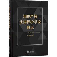 知识产权法律保护学说概论 王润华 著 社科 文轩网