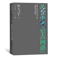 苏北少年“堂吉诃德”(毕飞宇文集) 毕飞宇 著 文学 文轩网