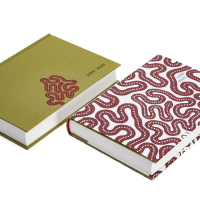 赵南栋 陈映真 著 文学 文轩网