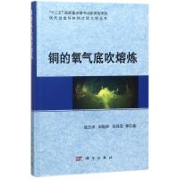 铜的氧气底吹熔炼 崔志祥//申殿邦//张廷安 著 专业科技 文轩网