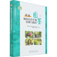 湖南油茶有害生物识别与防治图鉴 湖南省林业有害生物防治检疫站,湖南省林业科学院 编 专业科技 文轩网