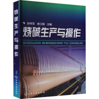 烧碱生产与操作 田伟军,易卫国 编 专业科技 文轩网