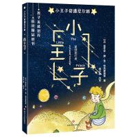 小王子奇遇尼尔斯·小王子 (法)安东尼·德·圣-埃克絮佩里 著 铁皮人美术 绘 少儿 文轩网