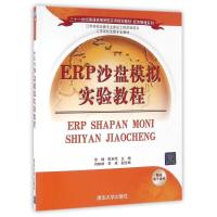 ERP沙盘模拟实验教程 徐峰、陈丰照、肖味味、李成 著作 大中专 文轩网