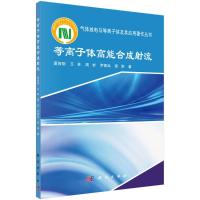 等离子体高能合成射流 夏智勋//王林//周岩//罗振兵//邵涛 著 专业科技 文轩网