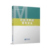 新能源系统雷电安全 李祥超,游志远,汪计昌,吴明晴 著 专业科技 文轩网