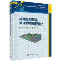 碳酸盐岩层系地球物理勘探技术 魏修成//季玉新//刘炯 著 专业科技 文轩网