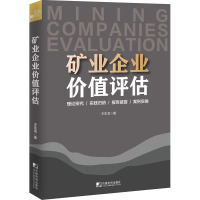 矿业企业价值评估 王生龙 著 经管、励志 文轩网