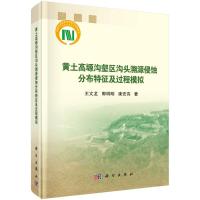 黄土高塬沟壑区沟头溯源侵蚀分布特征及过程模拟 王文龙//郭明明//康宏亮 著 专业科技 文轩网