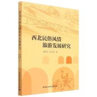 西北民俗风情旅游发展研究 梁旺兵 席武辉 著 社科 文轩网