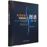 鱼类疾病诊断和防治图谱——细菌、病毒卷 夏新生,薛汉宗 著 专业科技 文轩网