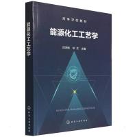 能源化工工艺学(邱泽刚) 邱泽刚、徐龙 主编 著 大中专 文轩网