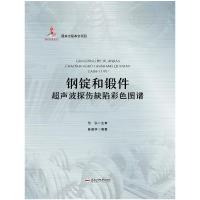 钢锭和锻件超声波探伤缺陷彩色图谱 陈昌华 著 专业科技 文轩网