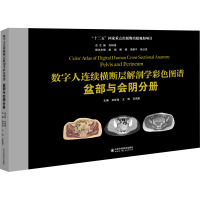 数字人连续横断层解剖学彩色图谱 盆部与会阴分册 林祥涛,王青,吴凤霞 编 生活 文轩网